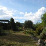 Ausblick Wohnbereich